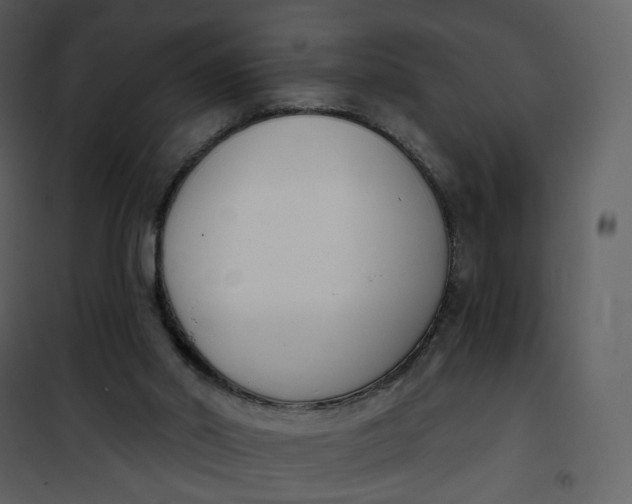 X0000101200014200807181546