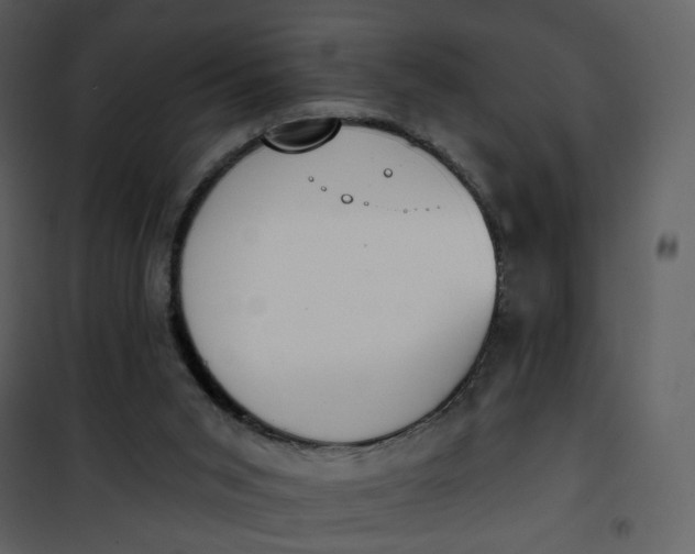 X0000101200015200807181546