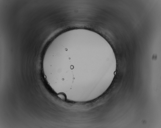 X0000101200016200807181546