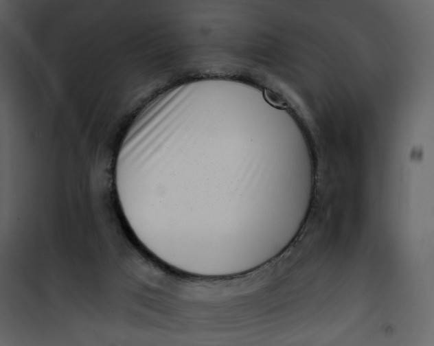 X0000101200017200807181546