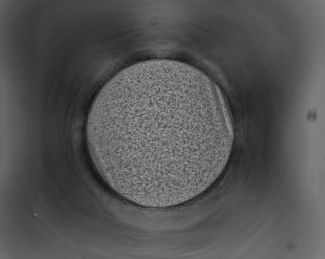 X0000101200018200807181546