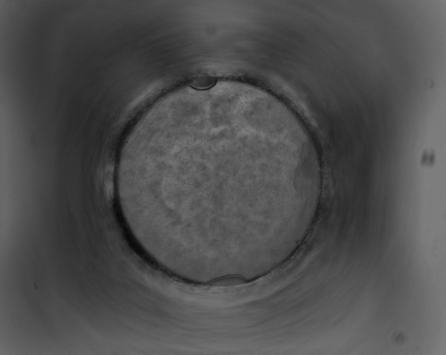 X0000101200019200807181546