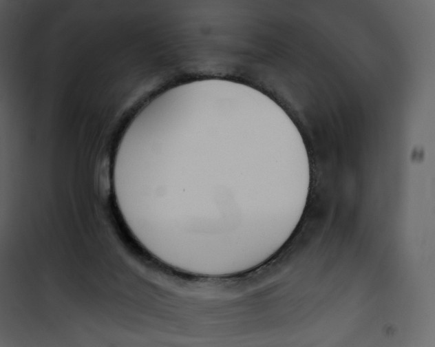 X0000101200020200807181546