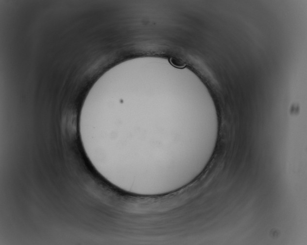 X0000101200021200807181546