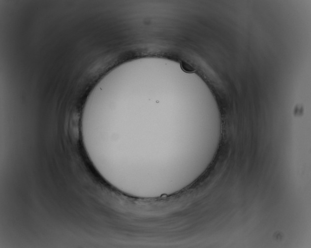 X0000101200022200807181546