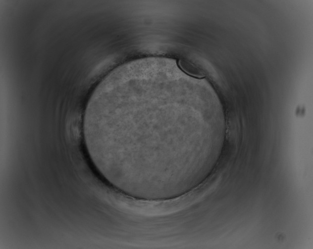 X0000101200023200807181546