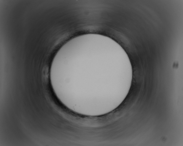 X0000101200024200807181546