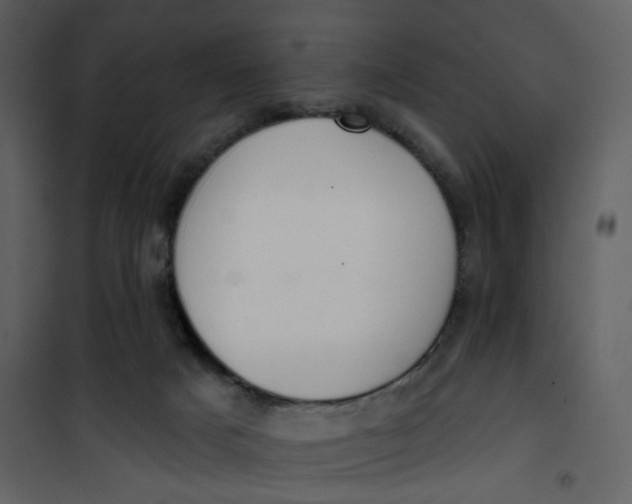 X0000101200025200807181546