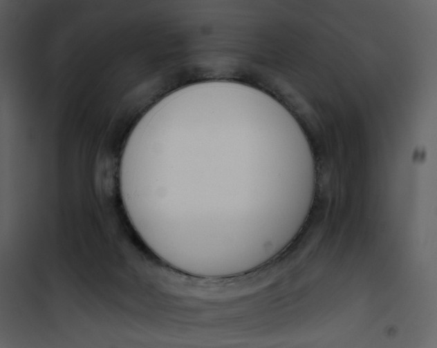 X0000101200026200807181546