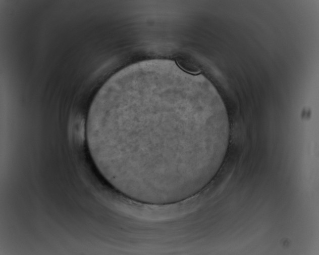 X0000101200027200807181546