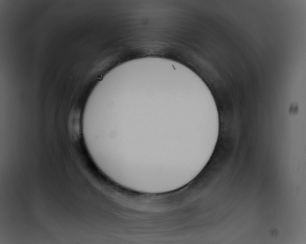 X0000101200028200807181546