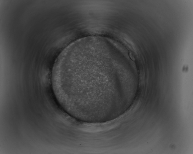 X0000101200029200807181546