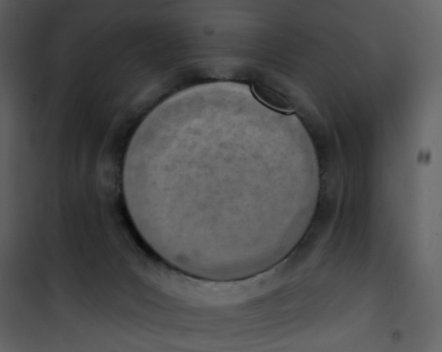 X0000101200031200807181546