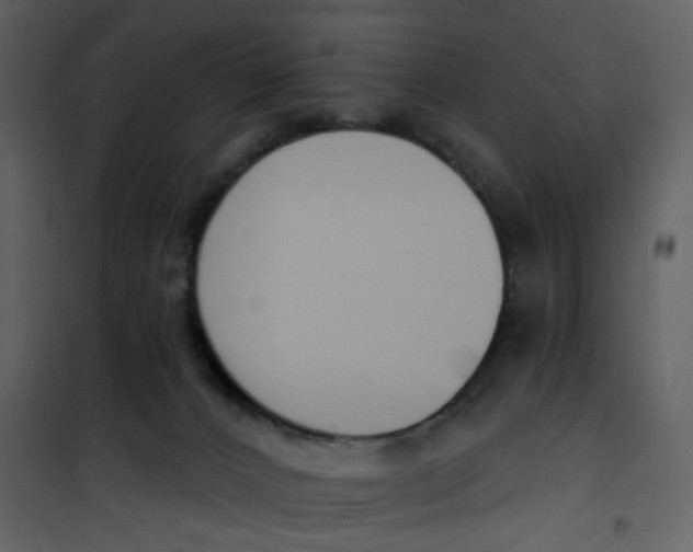 X0000101200032200807181546