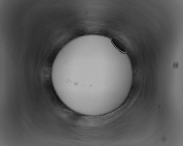 X0000101200033200807181546