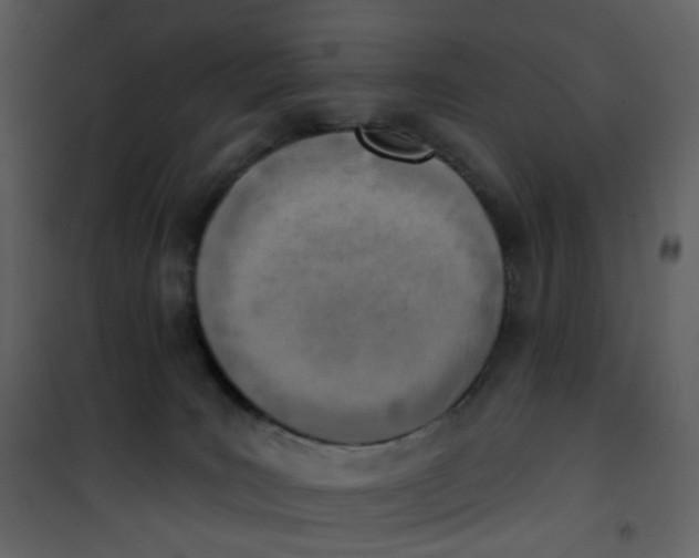 X0000101200035200807181546