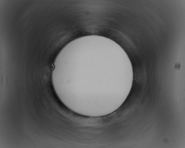 X0000101200036200807181546