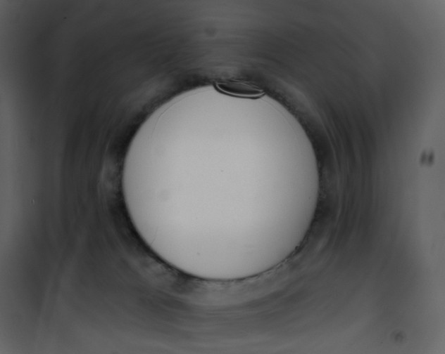 X0000101200037200807181546