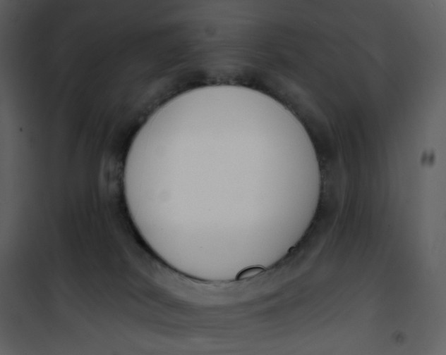 X0000101200038200807181546