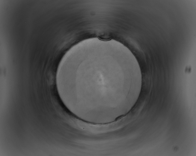 X0000101200039200807181546