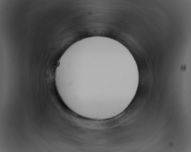 X0000101200040200807181546