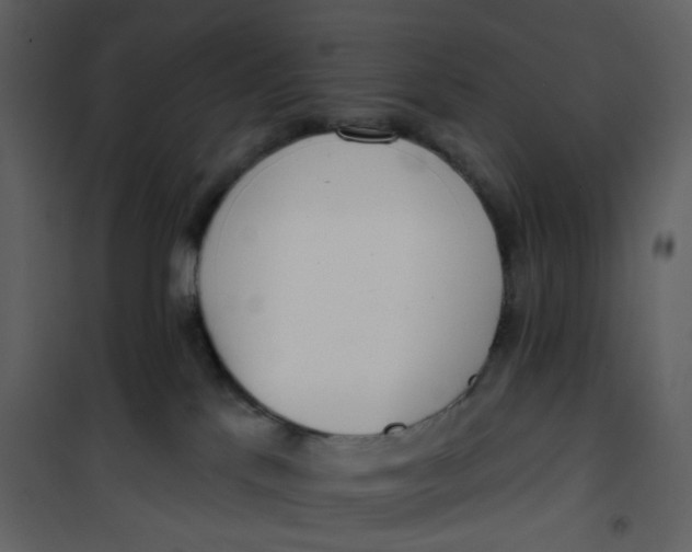 X0000101200041200807181546