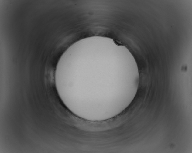 X0000101200042200807181546