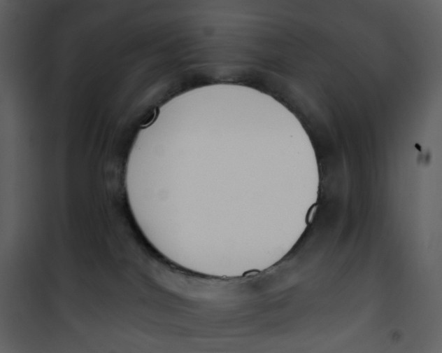 X0000101200044200807181545