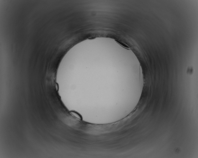 X0000101200045200807181545