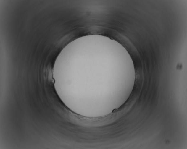 X0000101200046200807181545