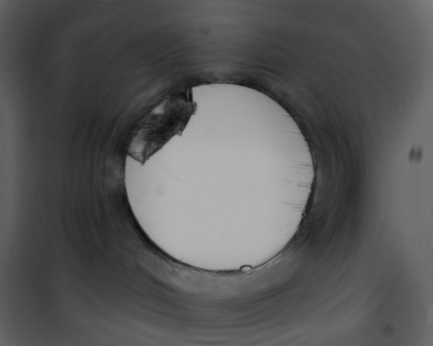 X0000101200048200807181545