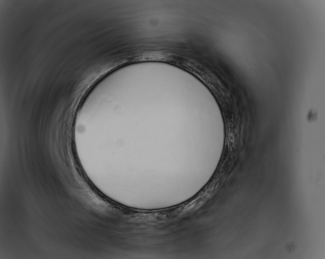 X0000101200049200807181545