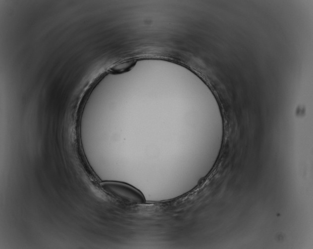 X0000101200050200807181545