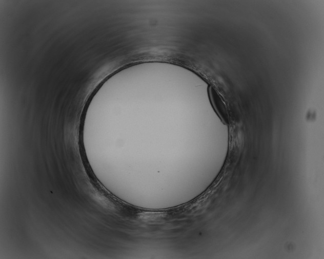 X0000101200051200807181545