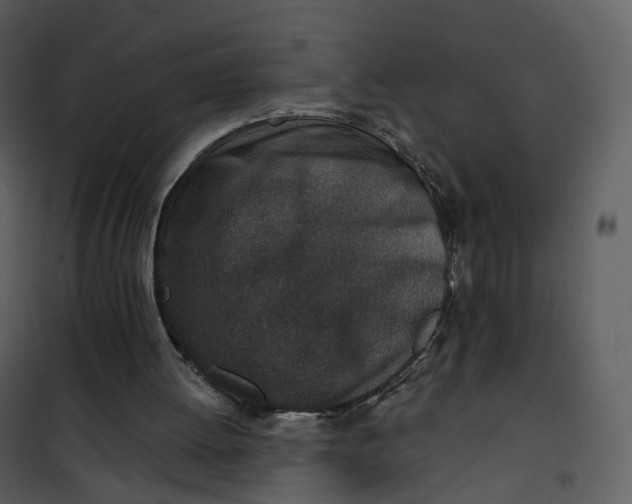 X0000101200052200807181545