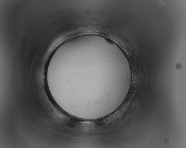 X0000101200053200807181545