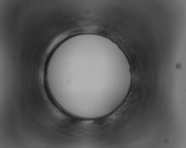 X0000101200054200807181545