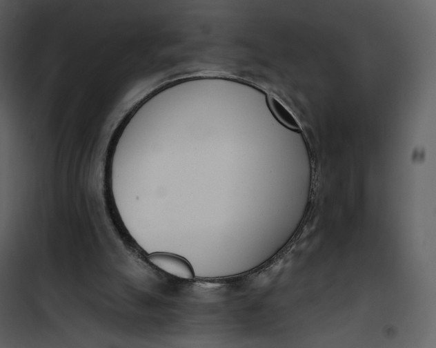 X0000101200055200807181545