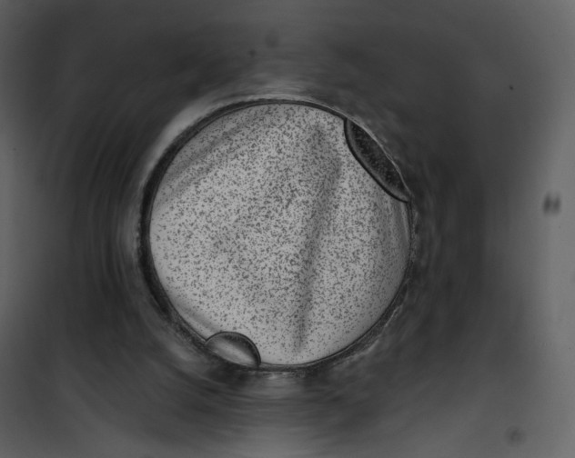 X0000101200056200807181545