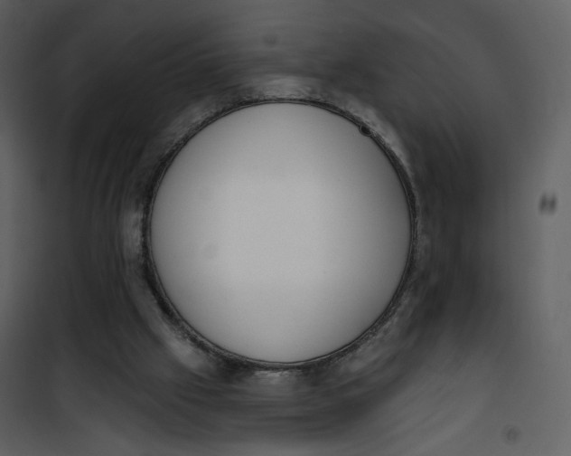 X0000101200057200807181545