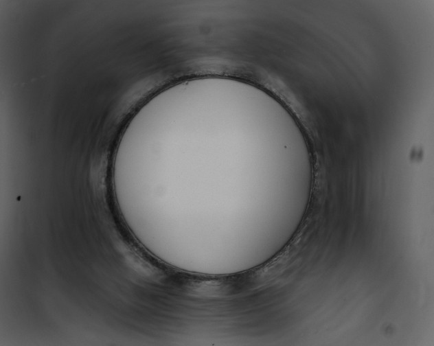 X0000101200058200807181545