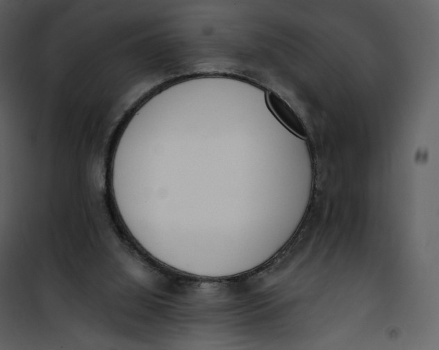 X0000101200060200807181545