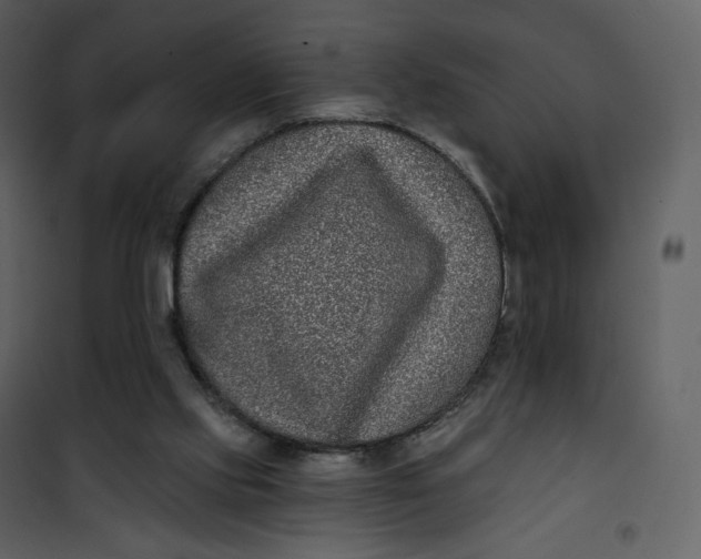 X0000101200061200807181545