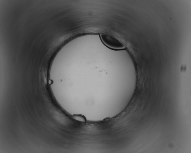 X0000101200062200807181545