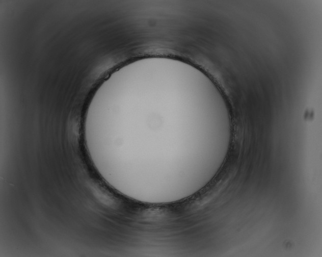 X0000101200063200807181545