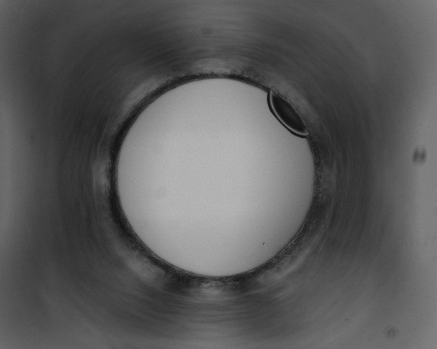 X0000101200064200807181545