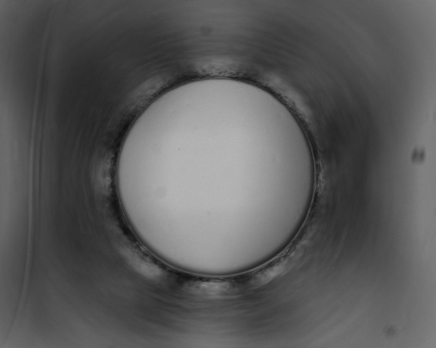 X0000101200065200807181545