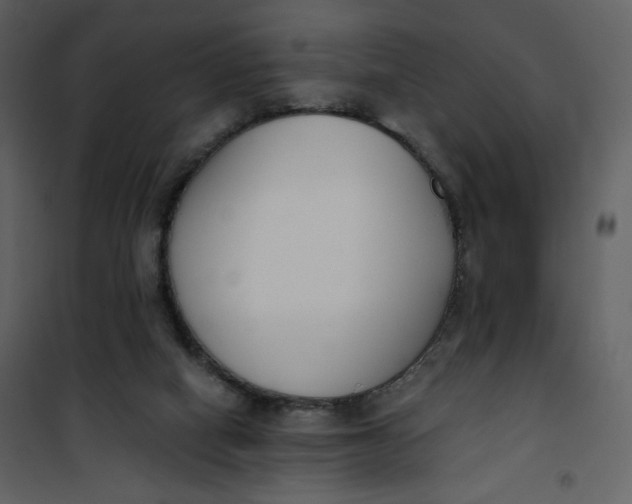 X0000101200066200807181545