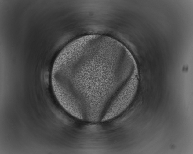 X0000101200067200807181545