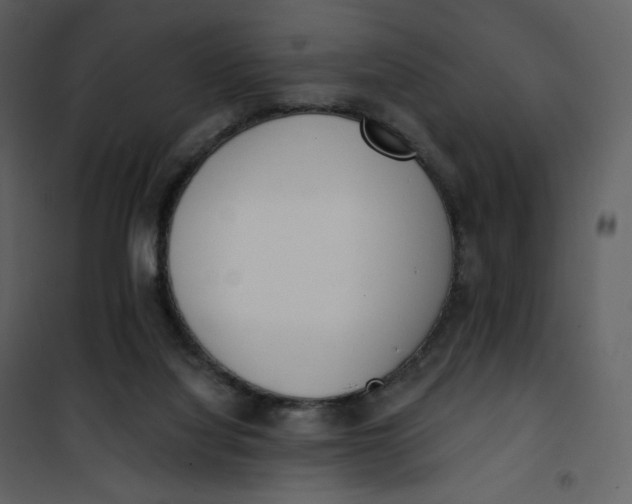 X0000101200068200807181545